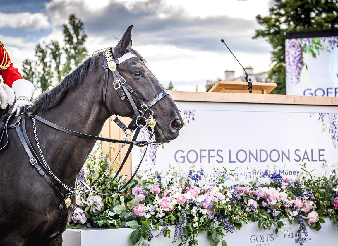 2025 Goffs London Sale: Register Your Interest
