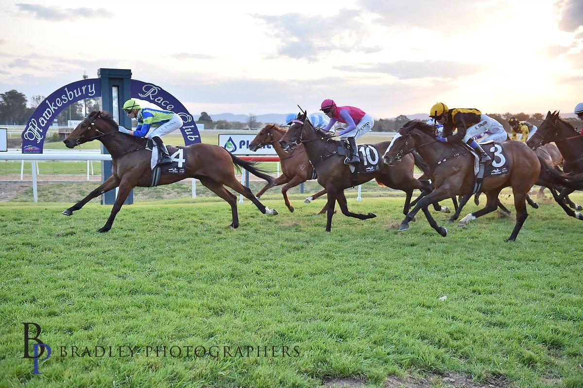 Cripps Tonight wins on debut.