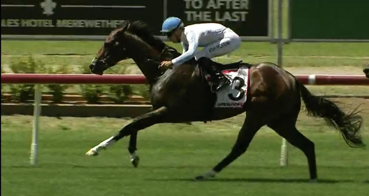 SOVEREIGN DANE SALUTES AT NEWCASTLE!