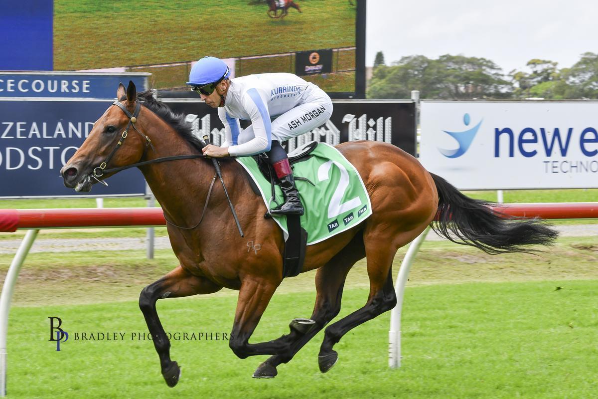 DOYLE RACING NEWSLETTER