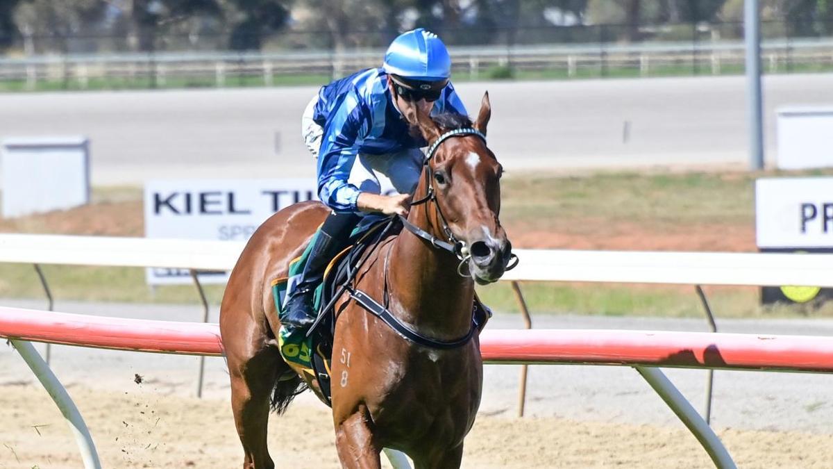 Racing Preview - 15/12/23