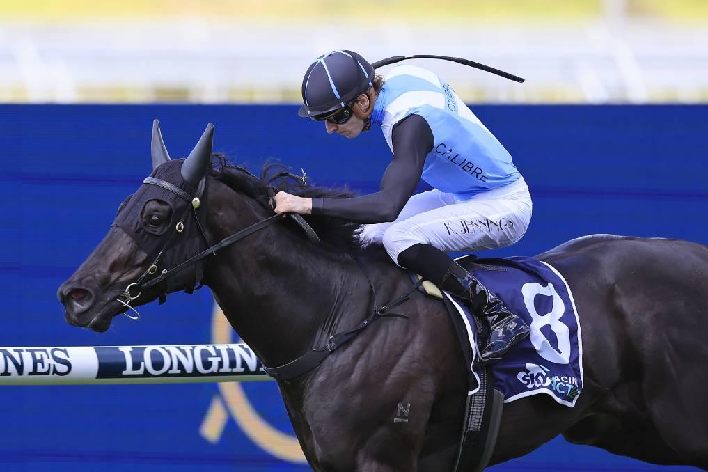Trainer Nathan Doyle finds sweet spot with bargain buy Kipsbay