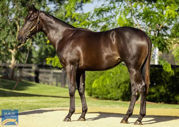 Calibre Racing Group Reinvest at Magic Millions
