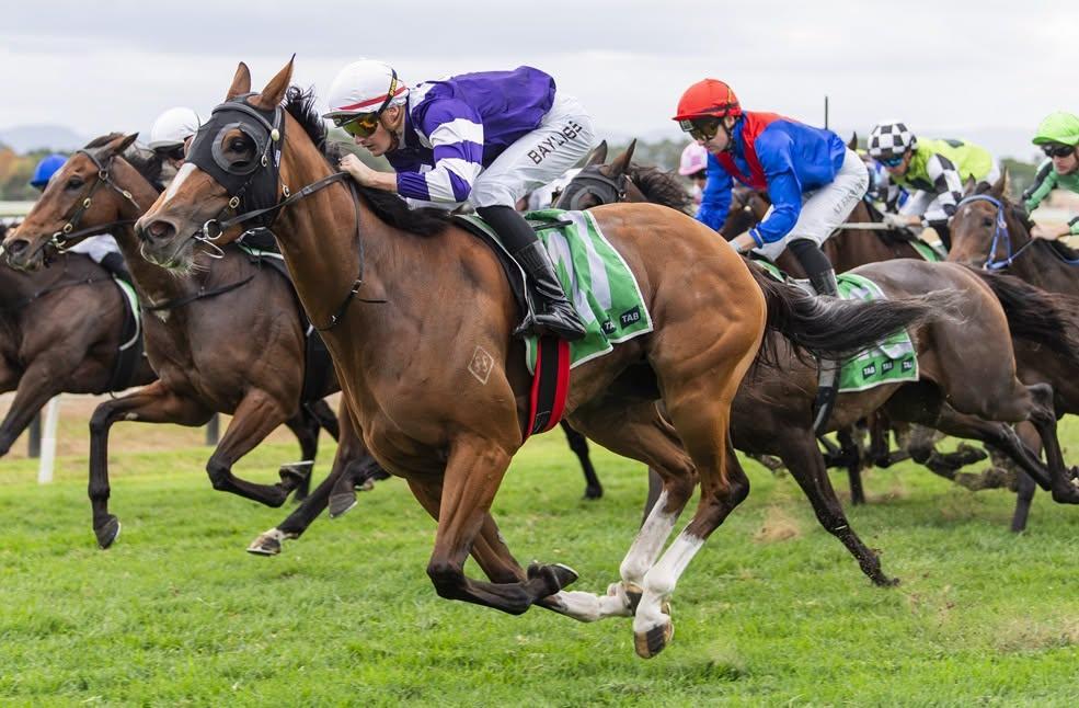 DOYLE CHASING HOME FEATURE IN TIBBIE STAKES