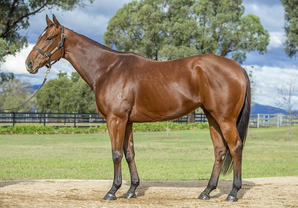 Lilac Blooms with $1.5M Sale Result