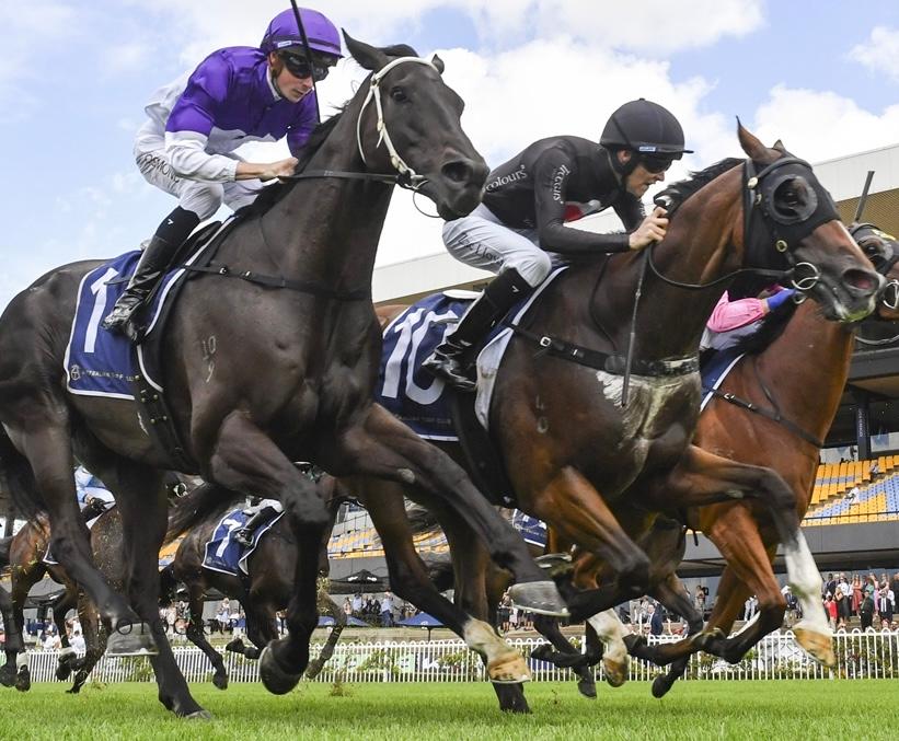 RUSH ATTACK KEEPS DOYLE ON THE BOIL AFTER HIS GUTSY WIN AT ROSEHILL