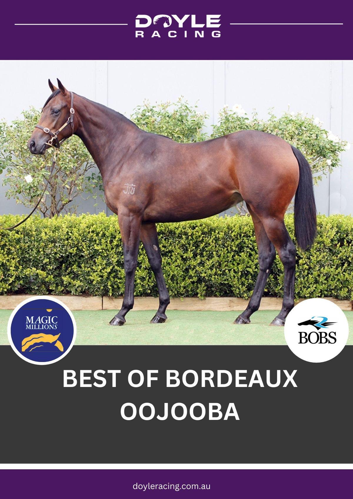 Best of Bordeaux x Oojooba