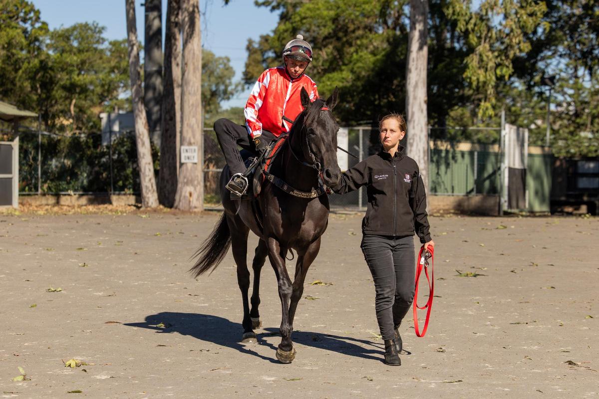 D’Argento 2YO Scuro Star Wins On Debut