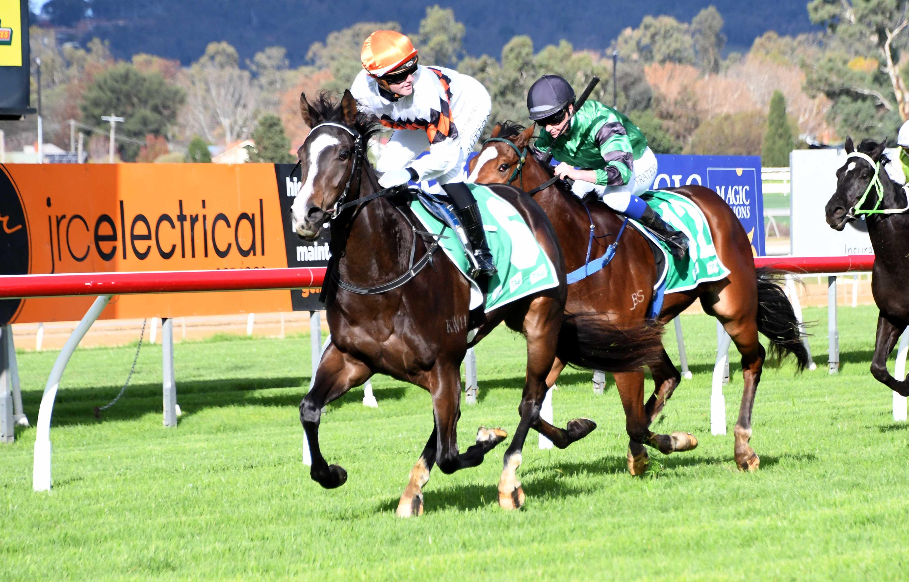 Welcome to Davison Racing Stables