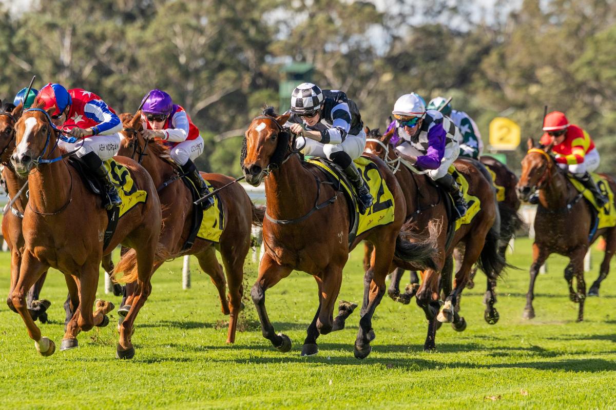 Smart Hellbent 2YO Winner For Snowden Racing