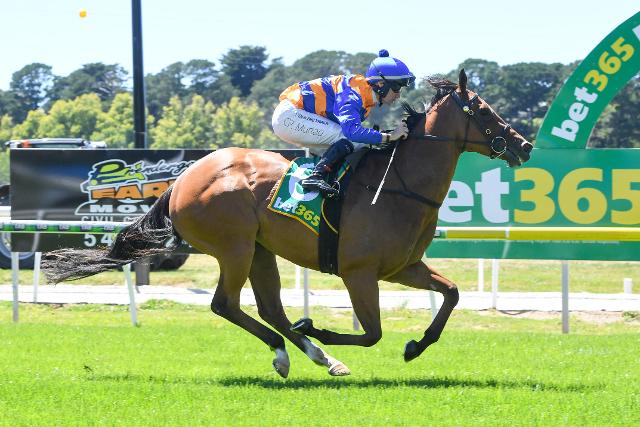 Chalice wins Well at Kyneton