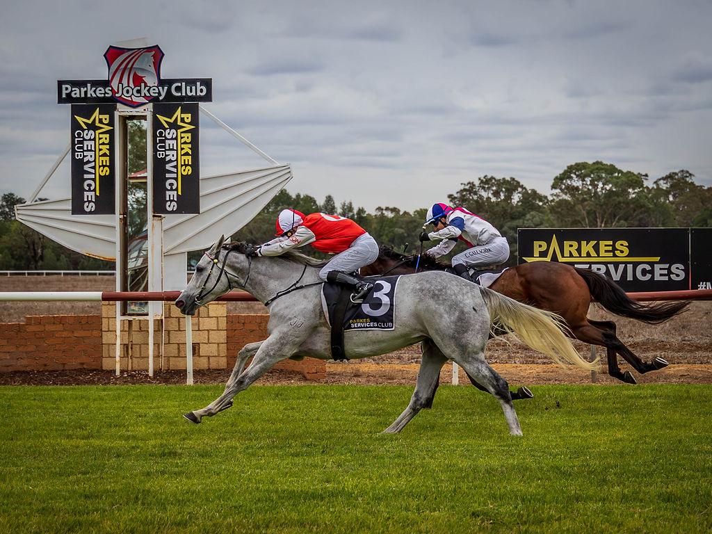 Ziggy Rose Unleashed at the Mile