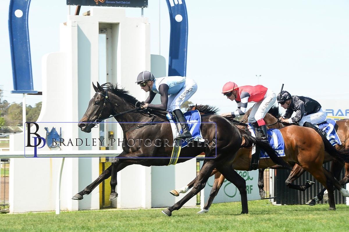 Harlem Queen back in the winners stall