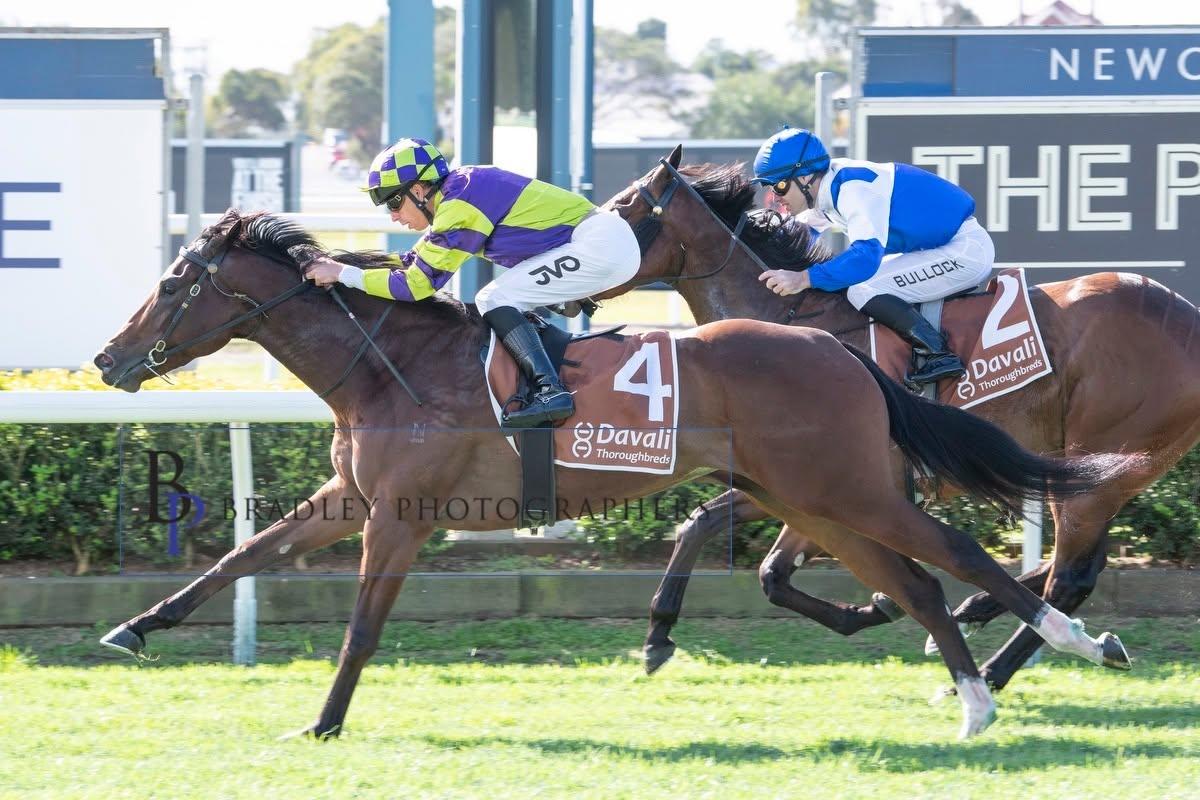 DOYLE RACING NEWSLETTER