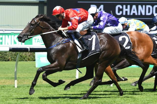 Picture of the author