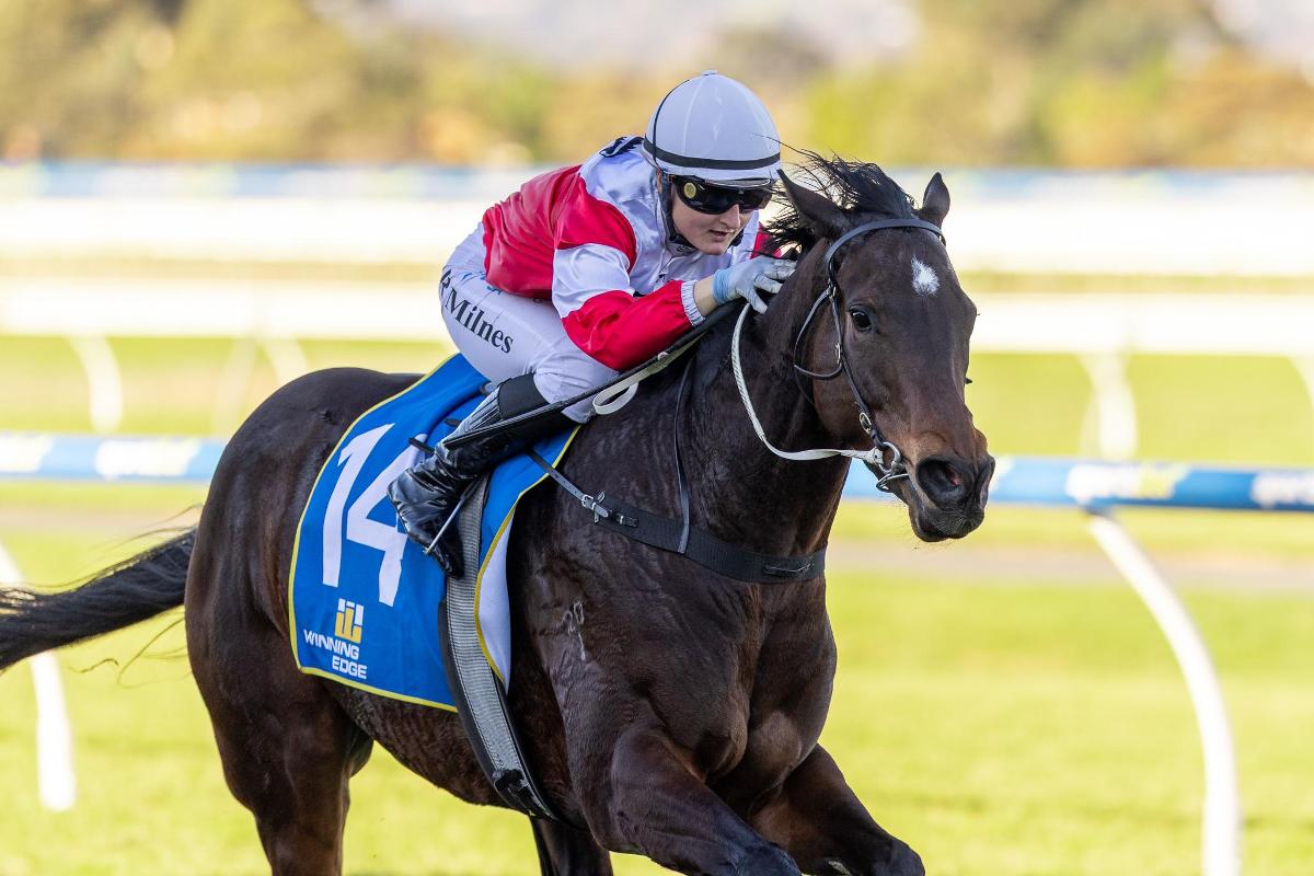 Clarken's filly set for Stakes test