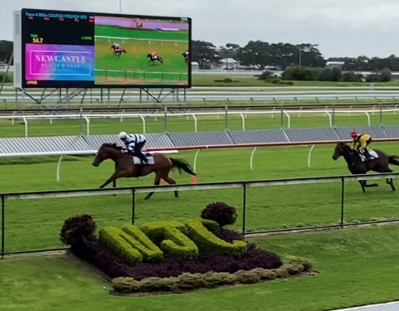 Loyalty prevails for Doyle and Magorrian in Four Pillars