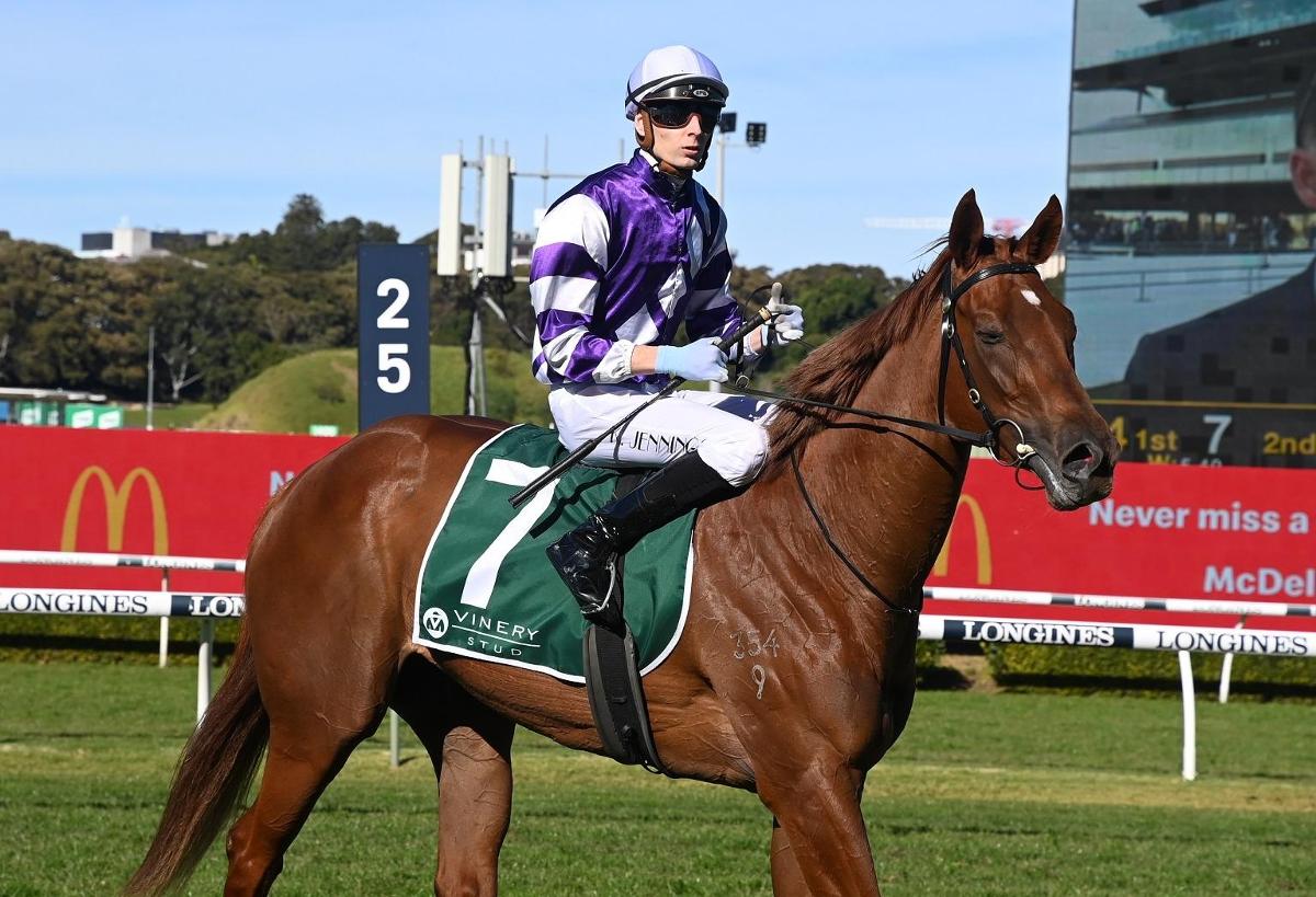 Doyle Hopes To Be Riding High As Promising Mare Returns
