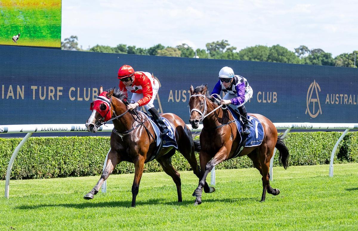 Playing By The Rules