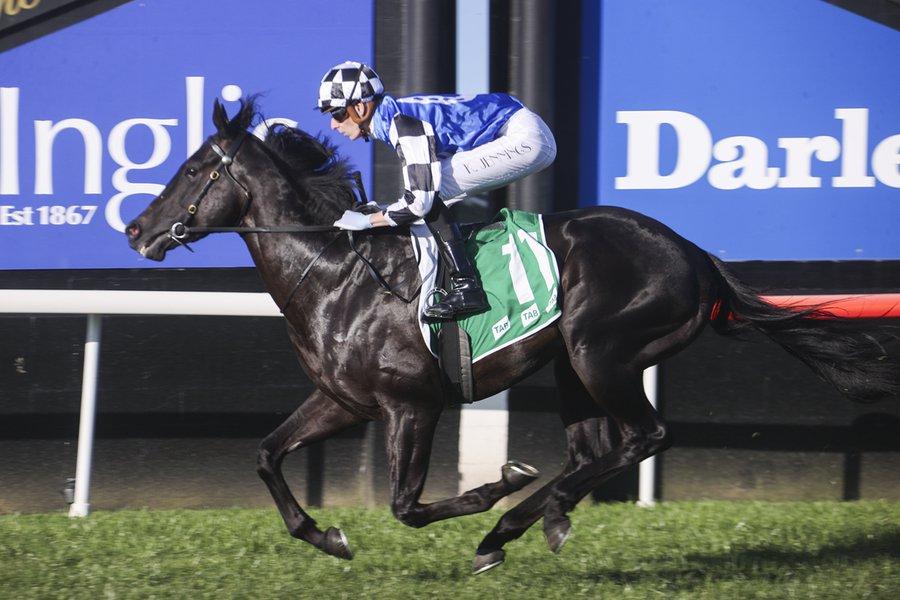 Doyle Confident Stakes Test Can Bring Out Best In Midnight