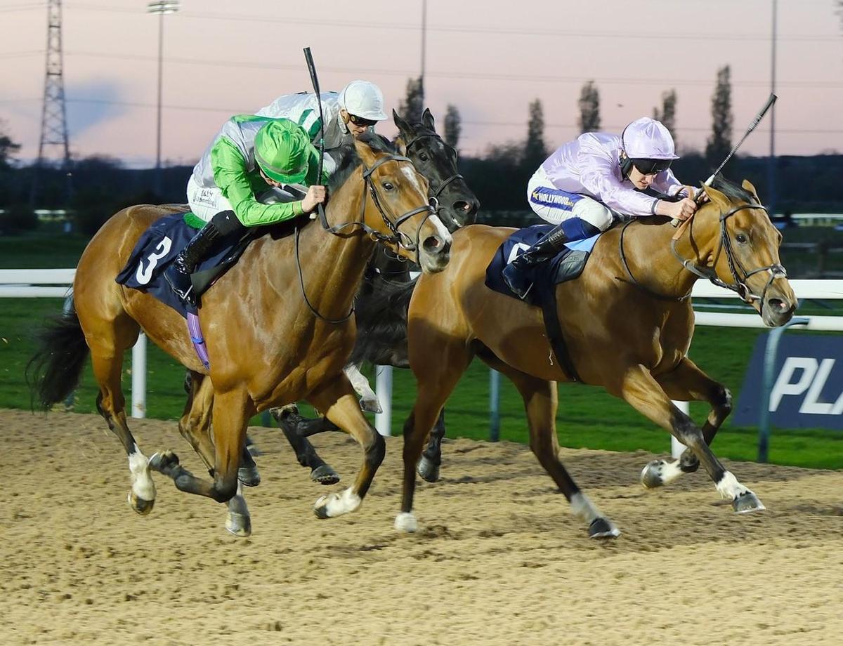 Racing Preview - 17/11/24