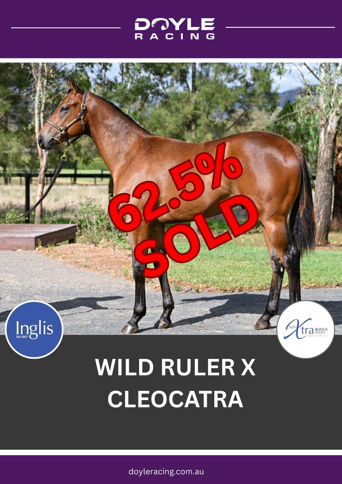 Wild Ruler x Cleocatra
