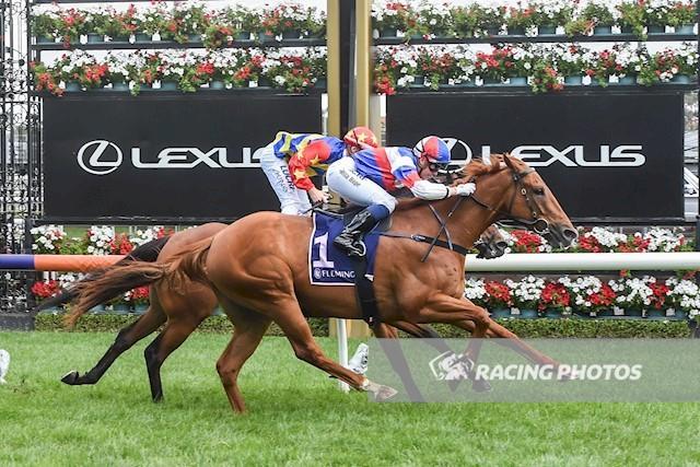 Patrick Payne Racing Chamois Road