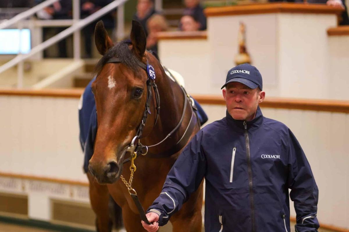 Wootton Bassett: The Tattersalls Triple Play