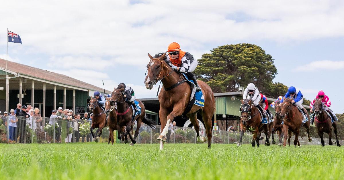 Patrick Payne Racing Bush Inference dashed home in the BM 56 2050m at Strathalbyn producing ...