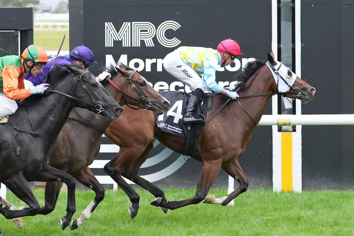 Wealthy Breaks Through with Impressive Maiden Win at Mornington