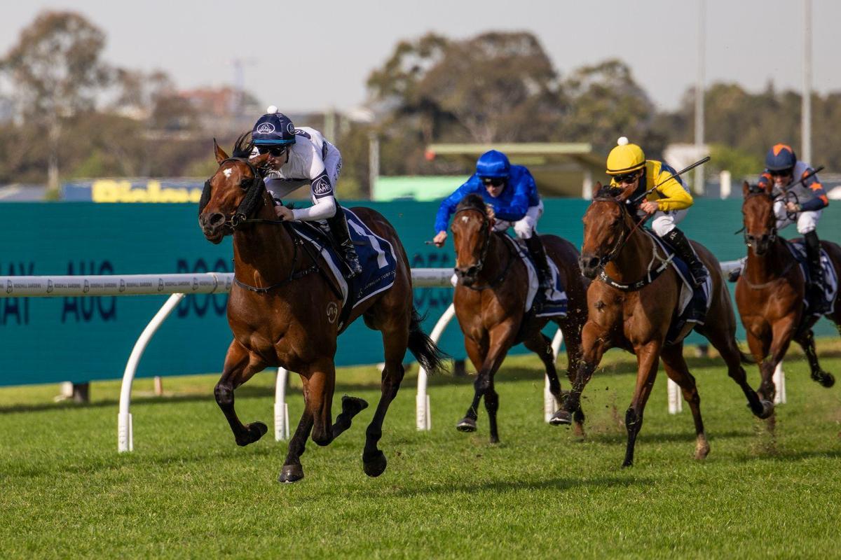 Spring Potential for Darby Racing's Raging Force