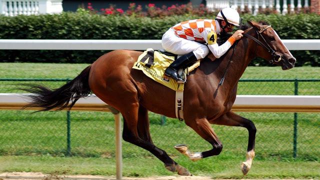 Avatar-HorsesAvailable