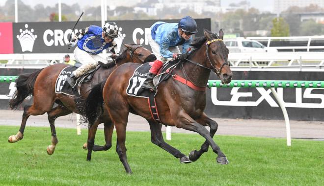 BASILINNA BOOKS HER GOLDEN TICKET TO THE MELBOURNE CUP