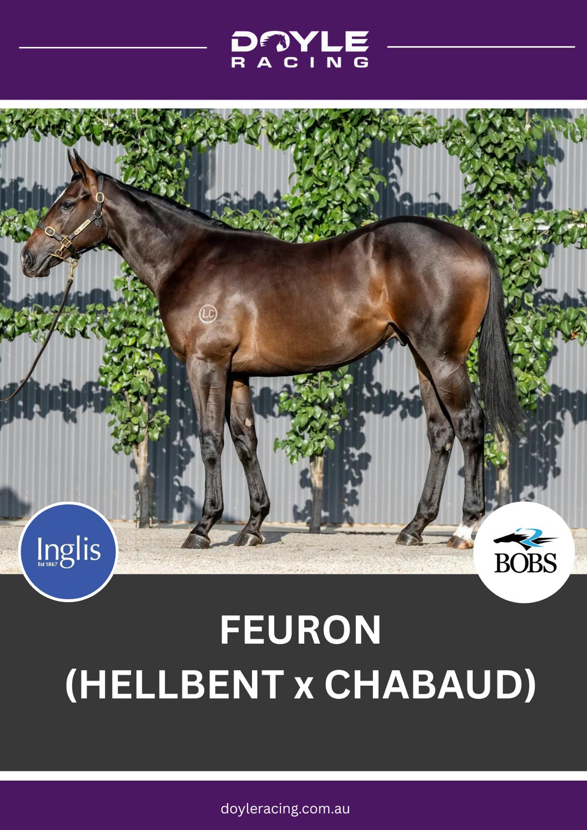 Feuron
