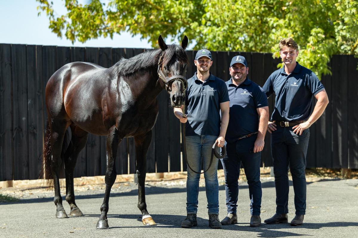 (homepage) (move-to-strike) (royal-meeting) (fierce-impact) (generation) (gold-trip) Lovatsville’s 2025 stallion fees - Premium service and a deal-focused mentality to the fore.