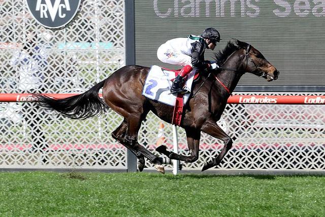 Avatar-HorsesAvailable