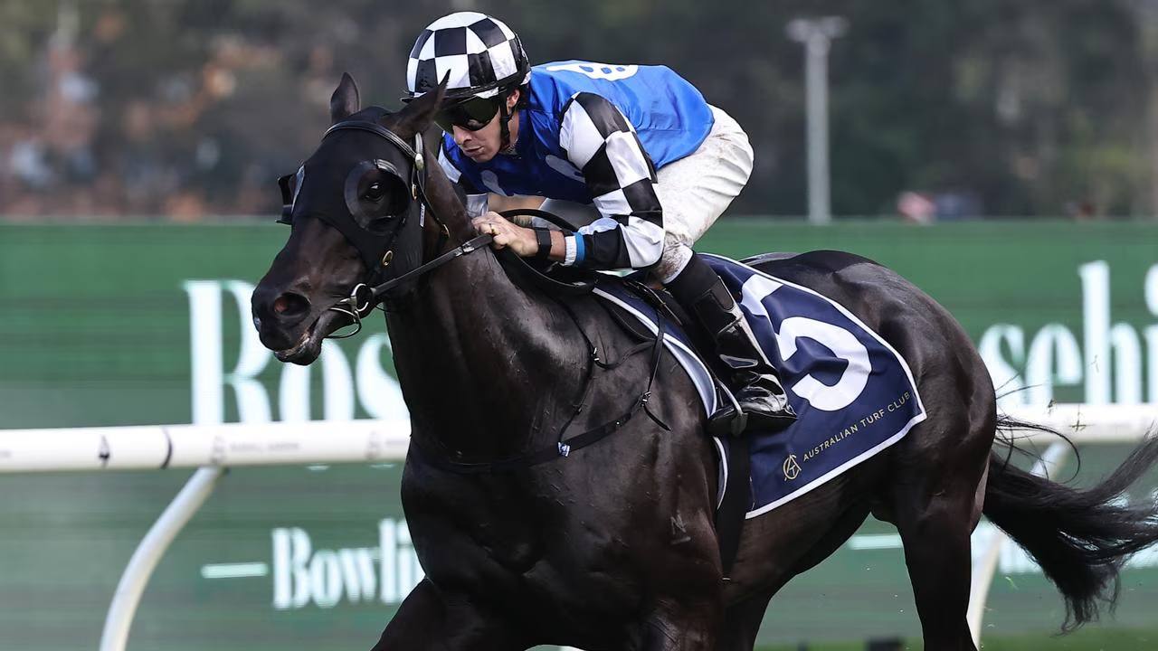 Welcome to Doyle Racing Midnight Opal - Royal Randwick