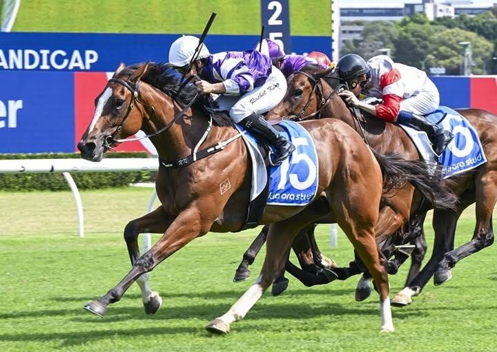 Welcome to Doyle Racing Churchills Choice - Royal Randwick