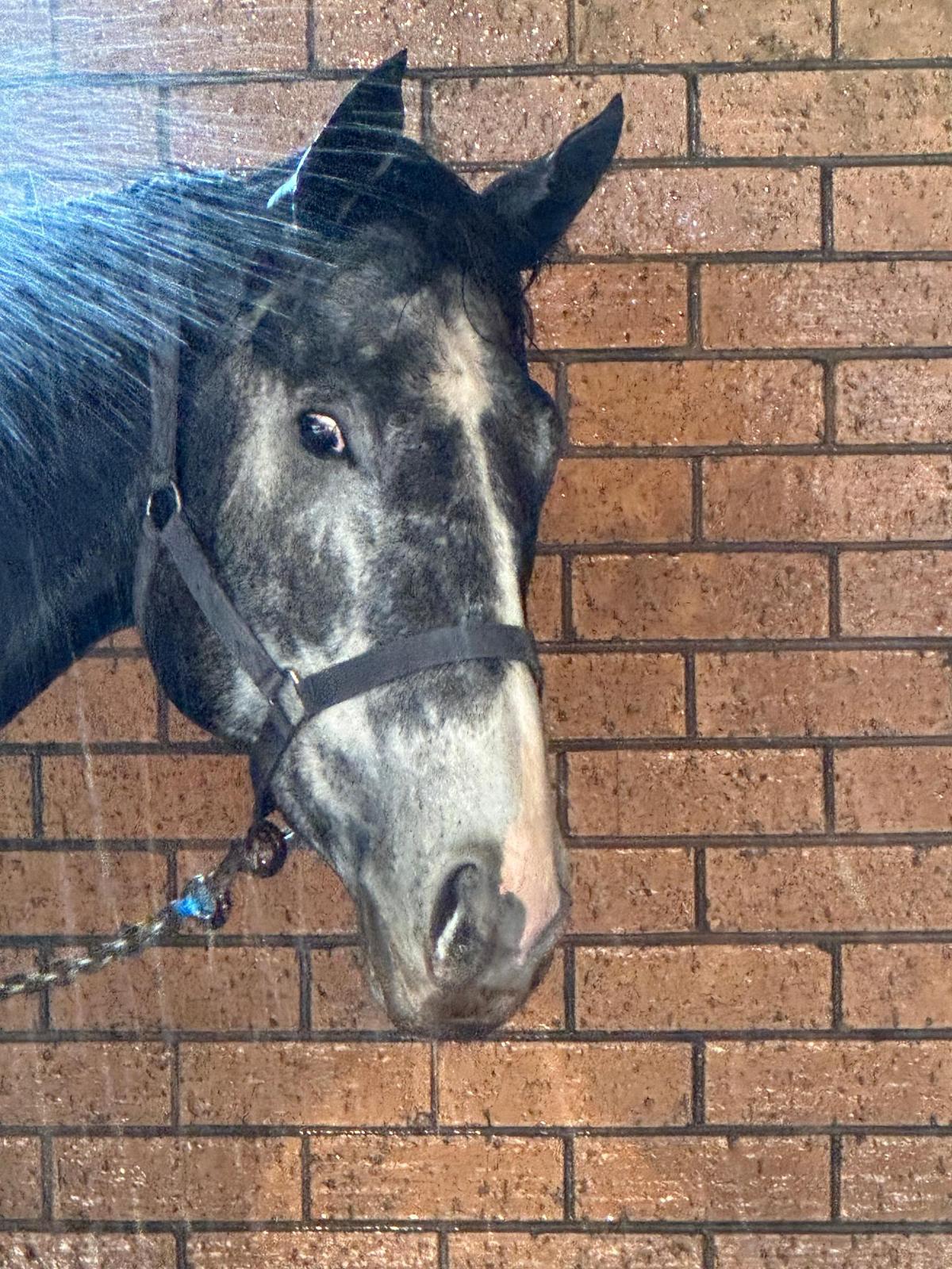 acaa9fdfbfa647b380e70c1fcf39e3