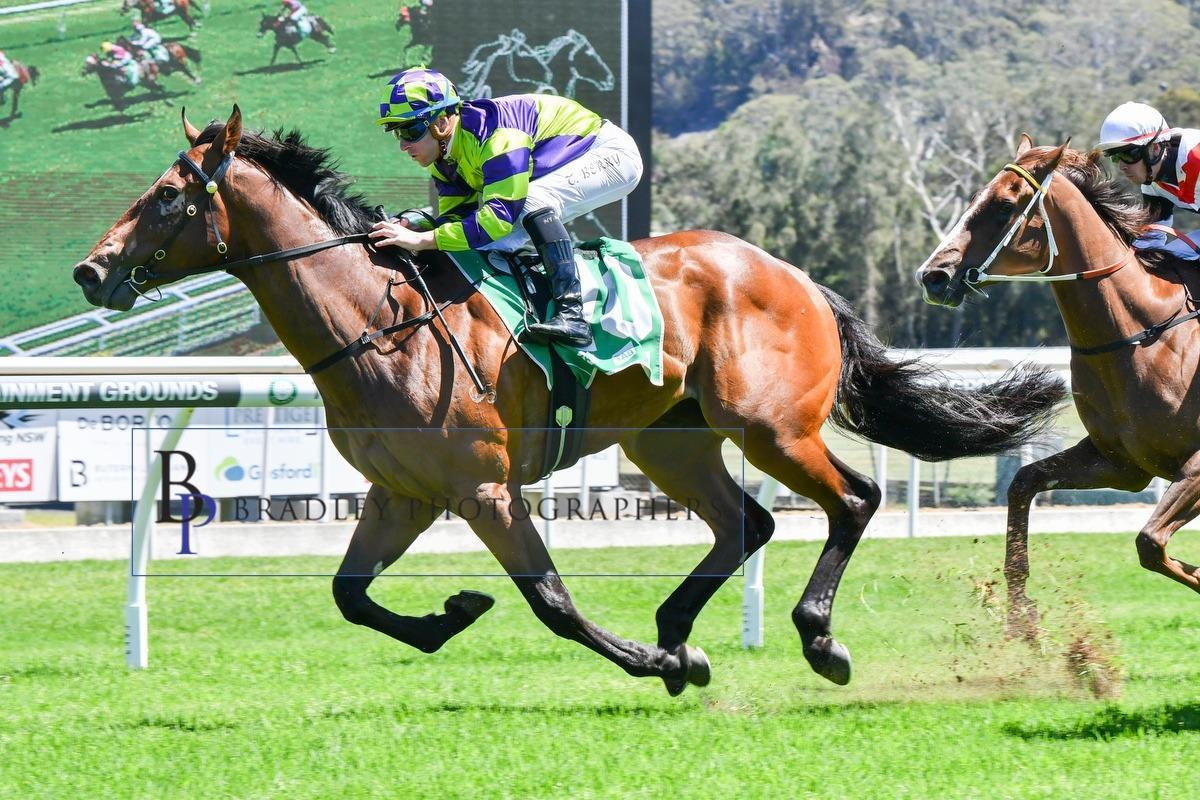 HALF- BROTHER TO SLIPPER WINNER GETS HIS 1ST WIN!