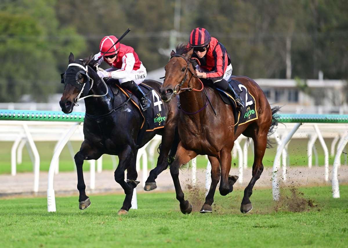 BIG WIN FOR PETITE PALACE