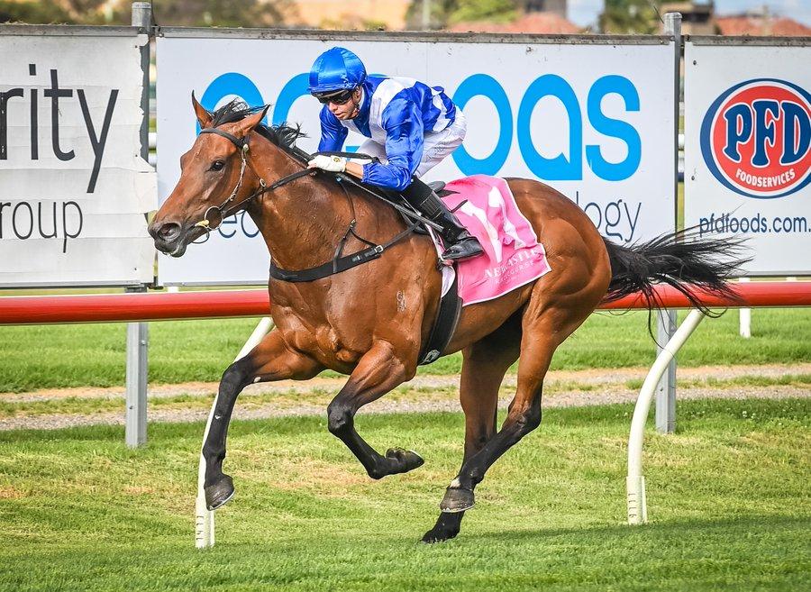 Doyle Looking At Big Picture For Unbeaten Bliss