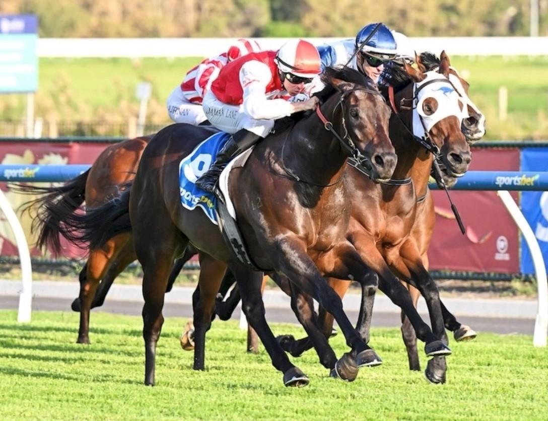 Two State Wednesday Double