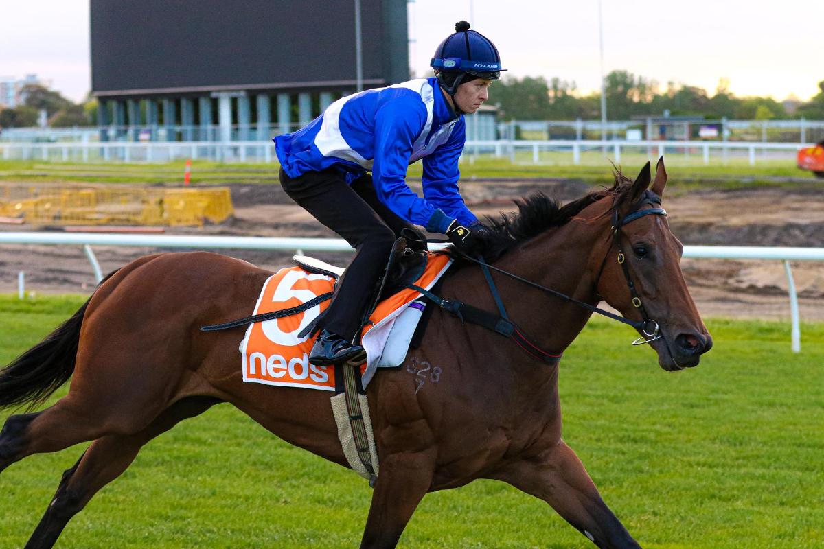 WHY DOYLE “COULDN'T BE HAPPIER” WITH NORWEGIAN BLISS AHEAD OF CAULFIELD TEST