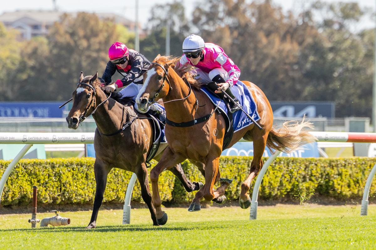 Crescent King Wins $100,000 Super Maiden
