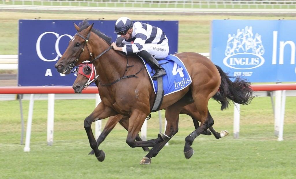 Four Pillars Gives Doyle Plenty To Think About With Dalaalaat