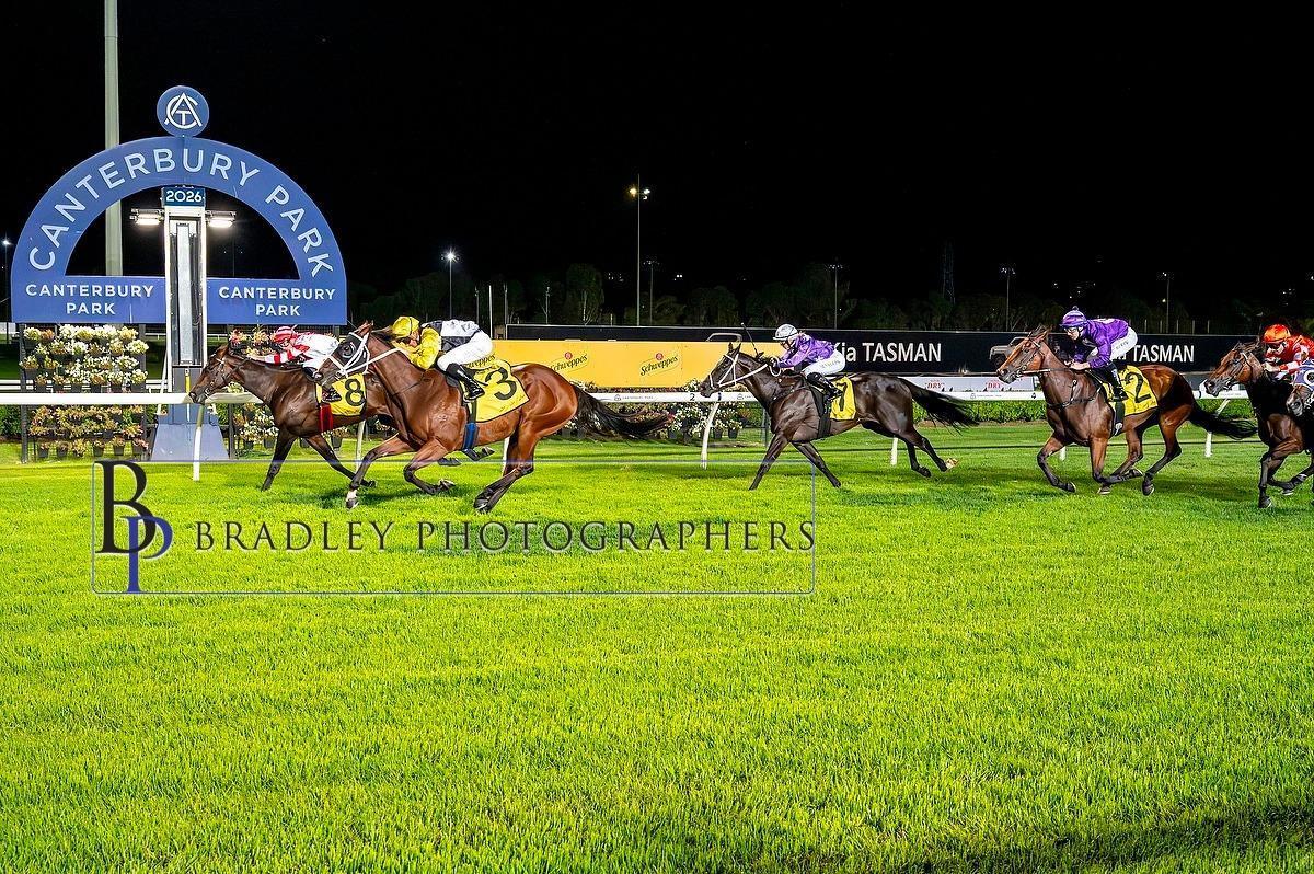 DOYLE RACING NEWSLETTER