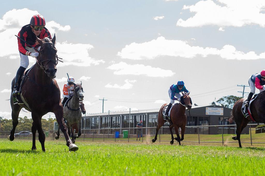 CROSS OF SCARLET RUNS HER RIVALS RAGGED