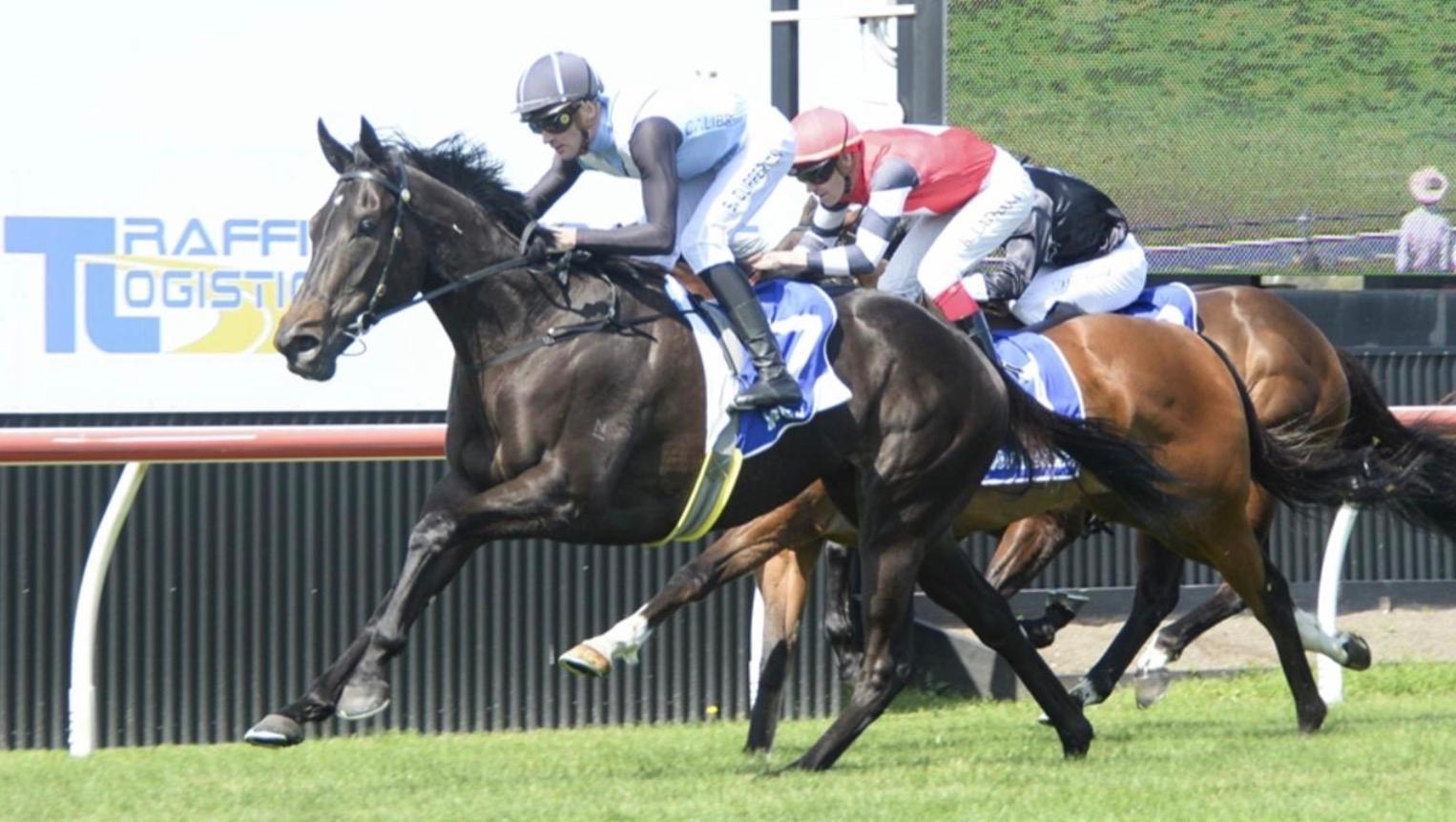 Harlem Queen 2nd Group 1 Flight Stakes, Ladies Day Cup