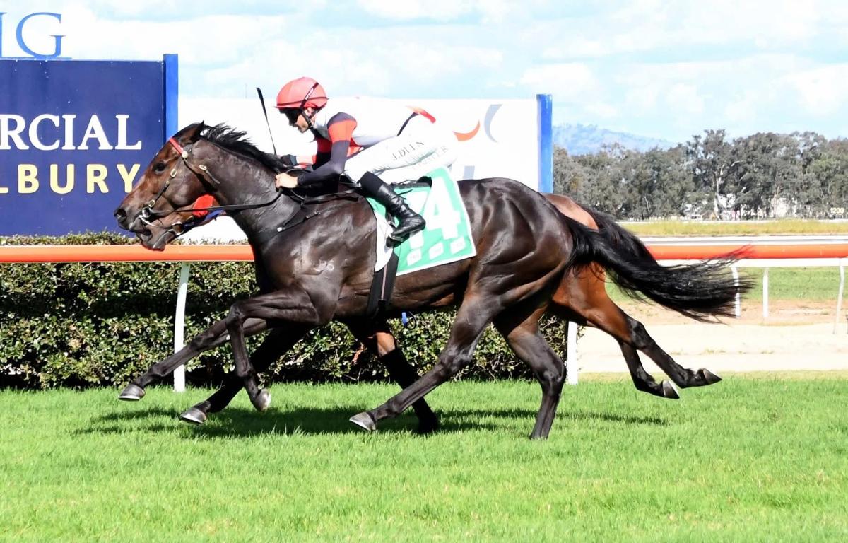 Youngsters Continue to Shine for Weeding Racing